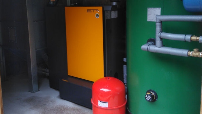 Biomass